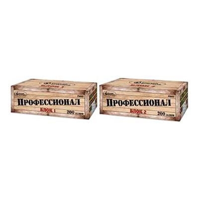 Профессионал